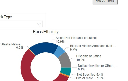 Legacy race and ethnicity donut
